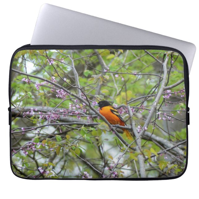 Baltimore Oriole Laptopschutzhülle (Vorderseite)