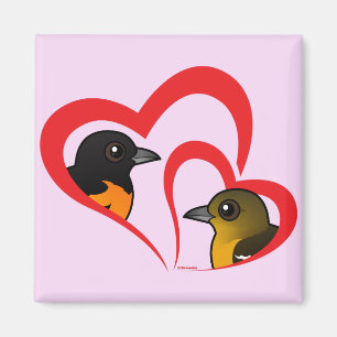 Baltimore Oriole Liebe Magnet