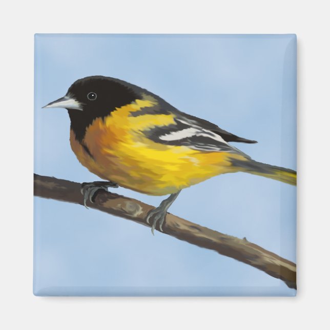 Baltimore Oriole Magnet (Vorne)