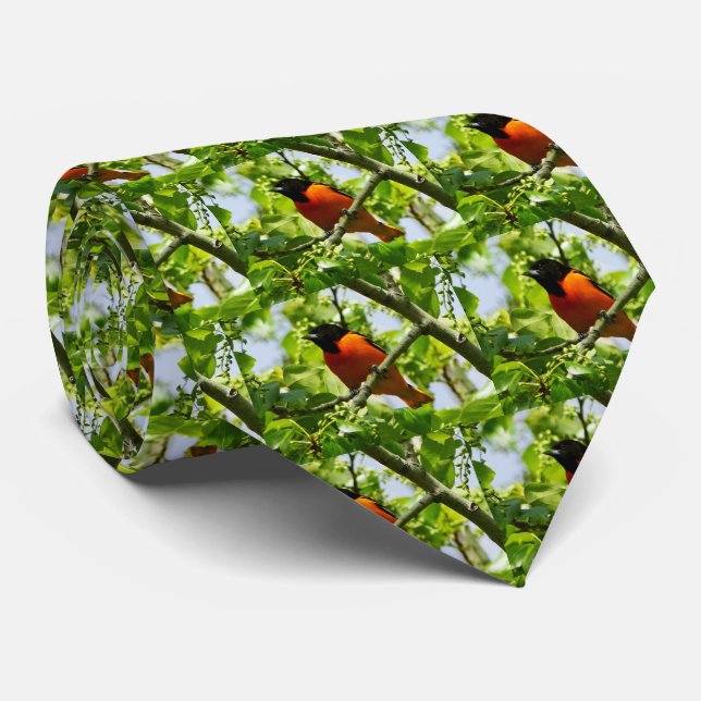 Baltimore Oriole Men's Krawatte (Gerollt)