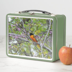 Baltimore Oriole Metall Brotdose