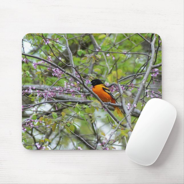 Baltimore Oriole Mousepad (Mit Mouse)