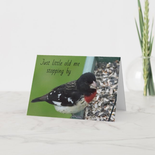 Baltimore Oriole Stops by sagen *GLÜCKLICH BIRTHTA Karte (Vorderseite)
