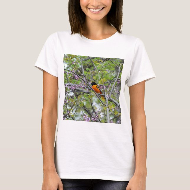 Baltimore Oriole T-Shirt (Vorderseite)