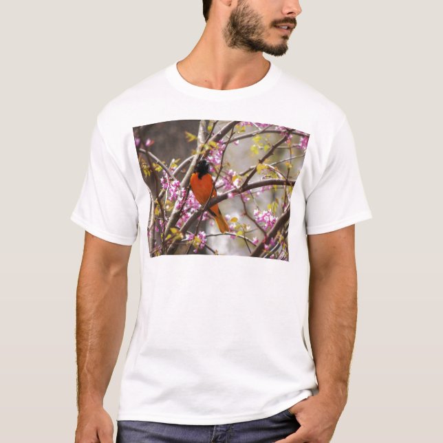 Baltimore Oriole T-Shirt (Vorderseite)