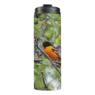 Baltimore Oriole Thermosbecher