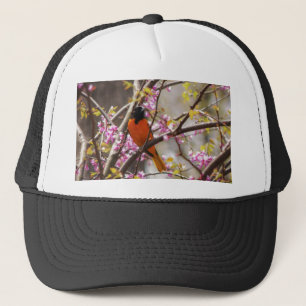 Baltimore Oriole Truckerkappe