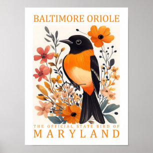 Baltimore Oriole Vogel von Maryland USA Reise Poster
