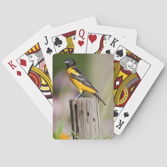 Baltimore Oriole Weibchen im Blumengarten Spielkarten (Rückseite)