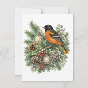 Baltimore Oriole Winter Songbirds Kollektion  Mitteilungskarte