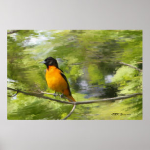 Baltimore Orioles DayDream Poster