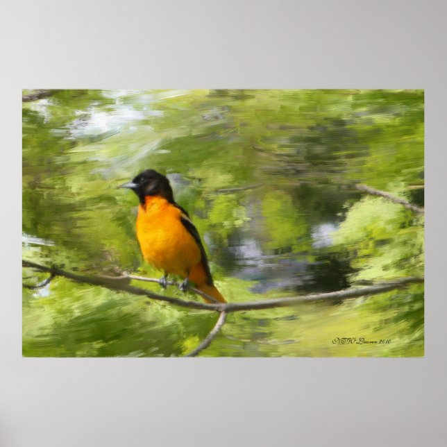 Baltimore Orioles DayDream Poster (Vorne)