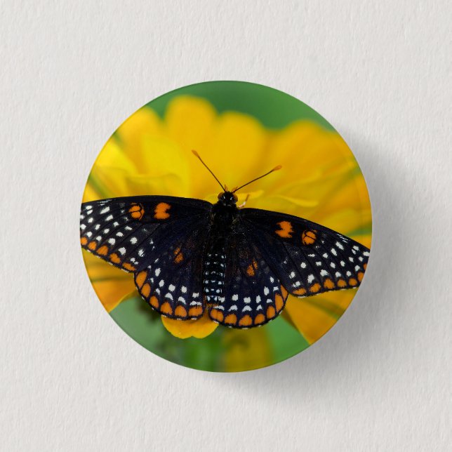 Baltimore-Schachbrettfalter Button (Vorderseite)