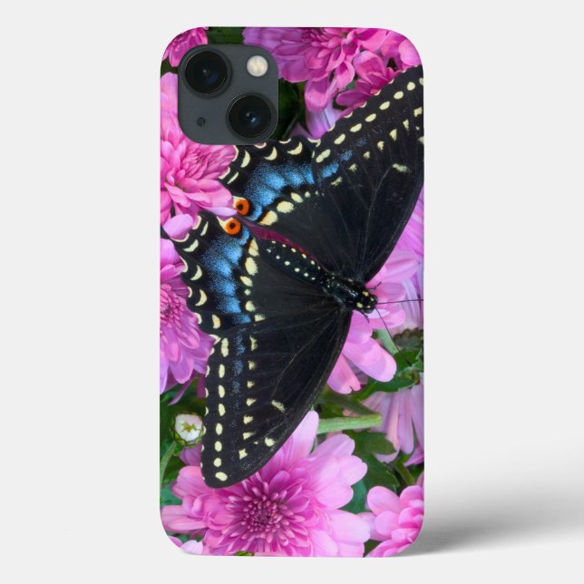 Baltimore-Scheckenfalter Case-Mate iPhone Hülle (Rückseite)