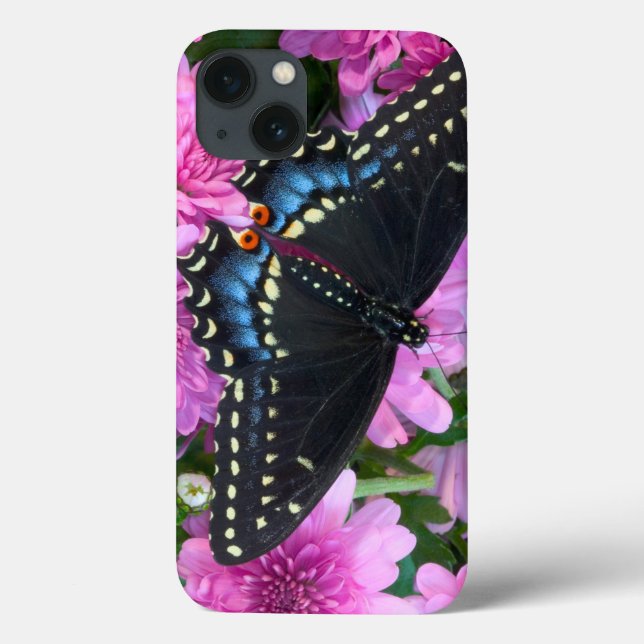 Baltimore Schmetterling Case-Mate iPhone Hülle (Rückseite)