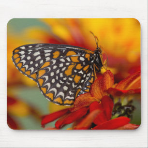 Baltimore-Schmetterling Mousepad