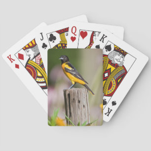 Baltimore-Trillvogel Weibchen im Blumengarten Spielkarten