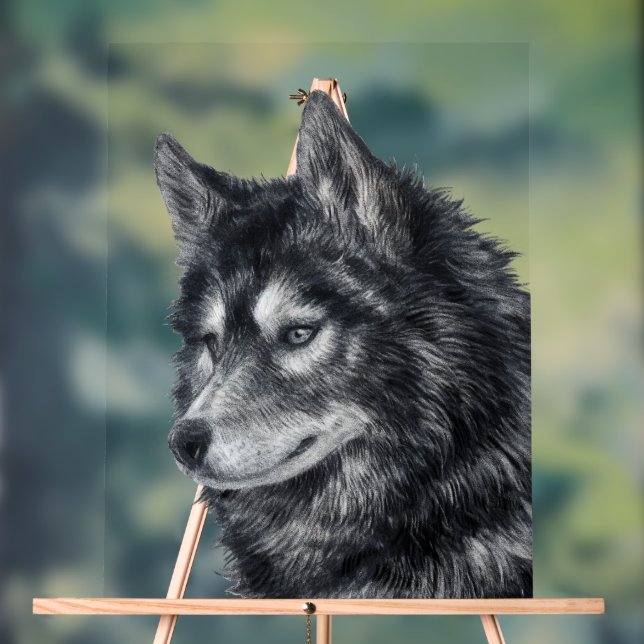 Balto Dog Acrylschild (Neutral)