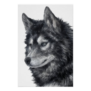 Balto Dog Poster
