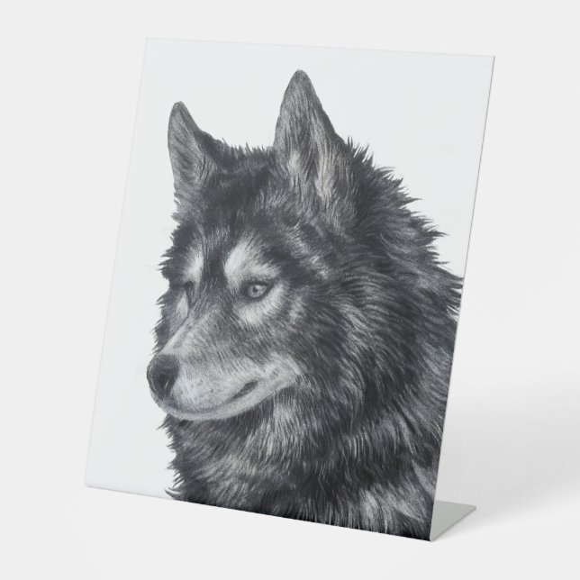 Balto Dog Sockelschild (Vorderseite)
