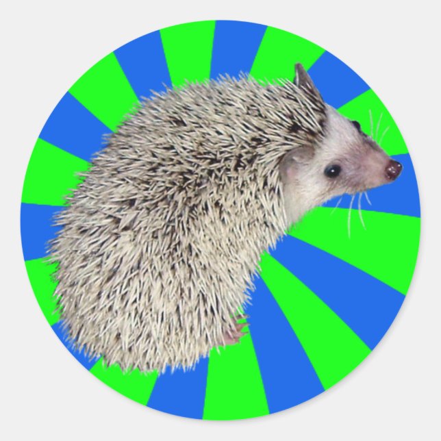 BAM! Aufkleber für Igel 2 (Vorderseite)