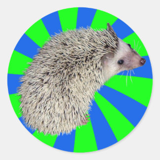 BAM! Aufkleber für Igel 2