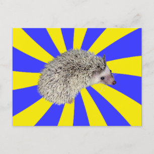 BAM! Igel Postkarte 2