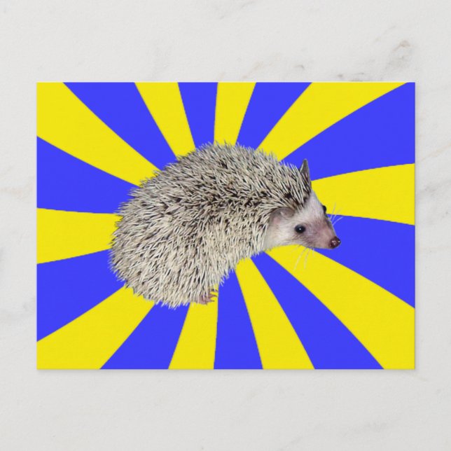 BAM! Igel Postkarte 2 (Vorderseite)