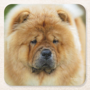 Bamba Chow Untersetzer