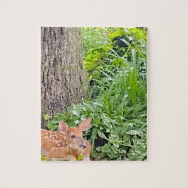 Bambi