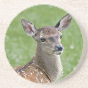 Bambi-Achterbahn Getränkeuntersetzer