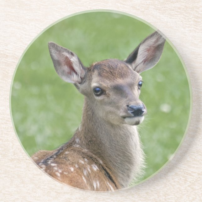 Bambi-Achterbahn Getränkeuntersetzer (Vorne)