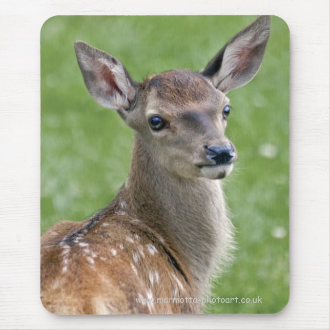 Bambi Mousemat Mousepad (Vorne)