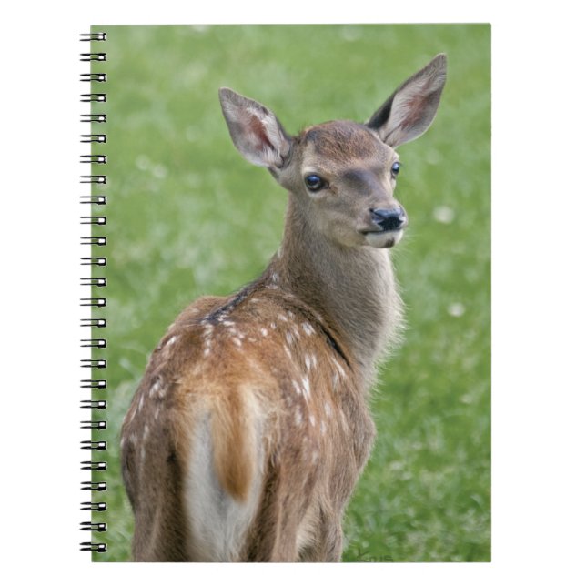 Bambi Notebook Notizblock (Vorderseite)