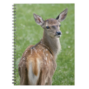 Bambi Notizbuch Notizblock