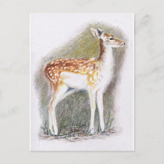 Bambi Postkarte