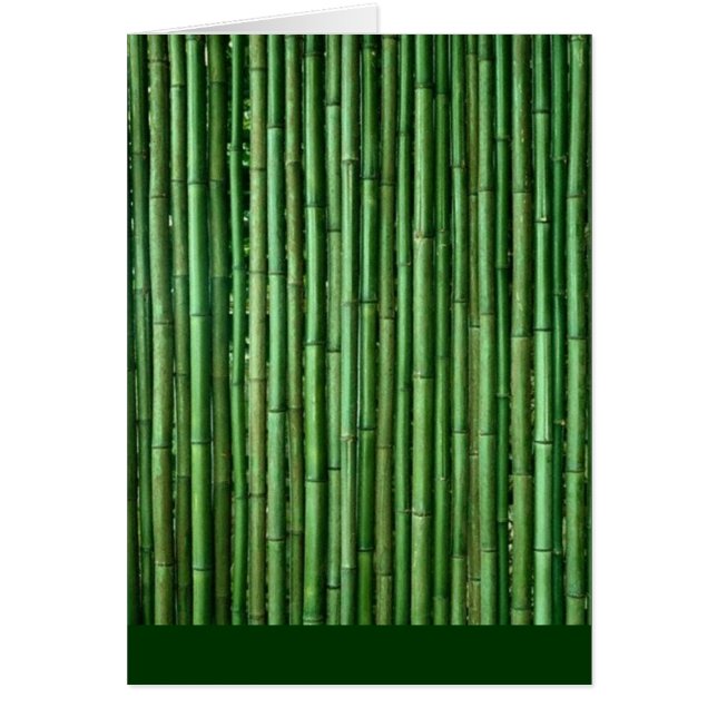 Bamboo (Vorne)