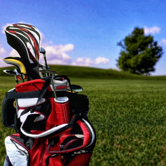 Bamboo Crossing Golf Headcover (This Bamboo Crossing Golf Club Cover, has an eye-catching design!)