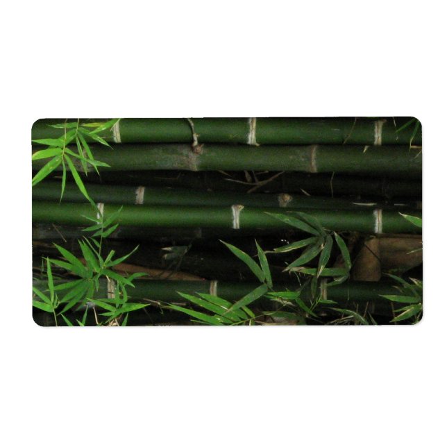 Bamboo ... Fao Rai, Nong Khai, Isaan, Thailand (Vorne)