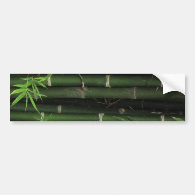 Bamboo ... Fao Rai, Nong Khai, Isaan, Thailand Autoaufkleber (Vorne)
