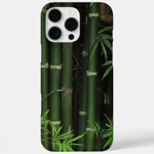Bamboo ... Fao Rai, Nong Khai, Isaan, Thailand title_seo2