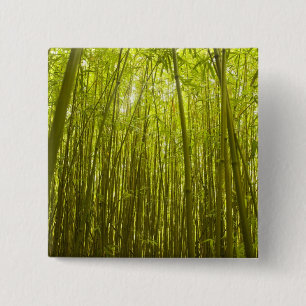 Bamboo Forest near Waikamoi Ridge Trail, Nord Button