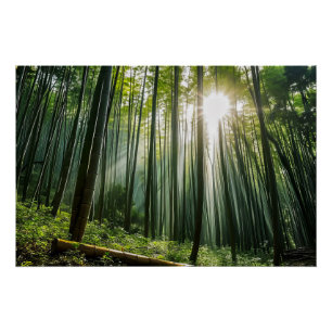 Bamboo Forest Poster