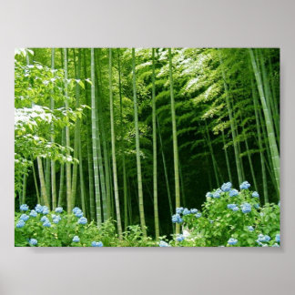 Bamboo Forest Poster