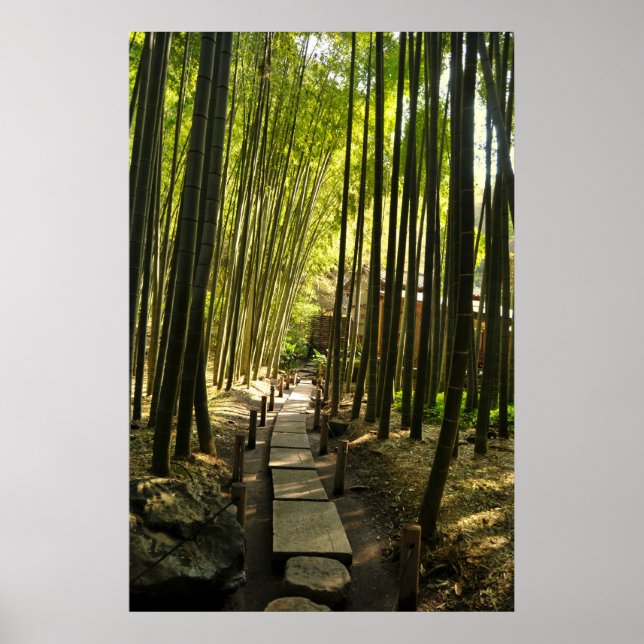 Bamboo Forest Poster (Vorne)