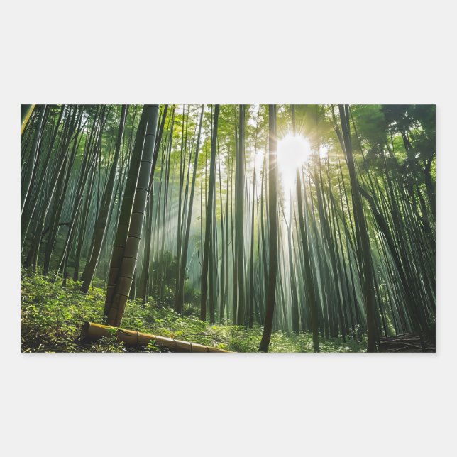 Bamboo Forest Rechteckiger Aufkleber (Vorderseite)