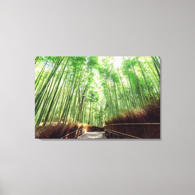 Bamboo Grove | Arashiyama, Kyoto, Japan Leinwanddruck (Vorderseite)