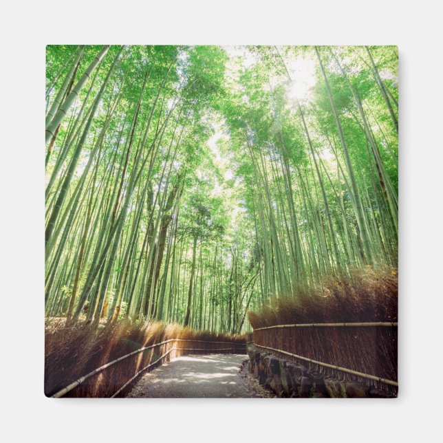 Bamboo Grove | Arashiyama, Kyoto, Japan Magnet (Vorne)