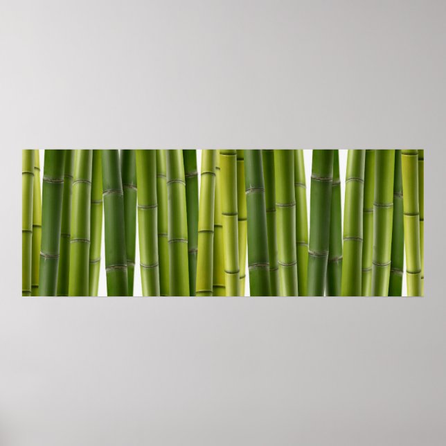 Bamboo Grove Poster (Vorne)