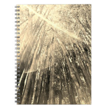 Bamboo im Sepia-Notebook